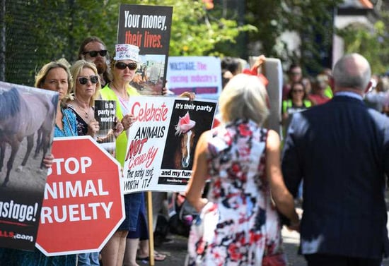 Racegoers walk past animal welfare activists as they protest outside the Eagle Farm racecourse in Brisbane, Tuesday, November 5, 2019. The protest is in conjunction with the Melbourne Cup.
